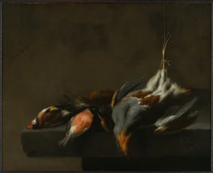 Stillleben mit toten Vögeln, ca. 1660
